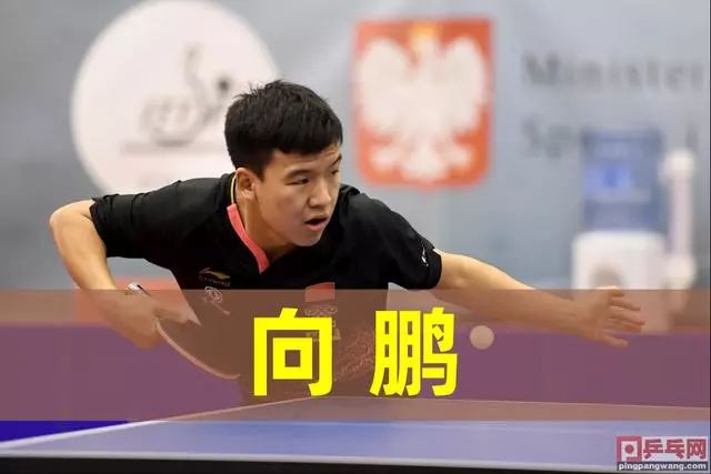 乐部树立了