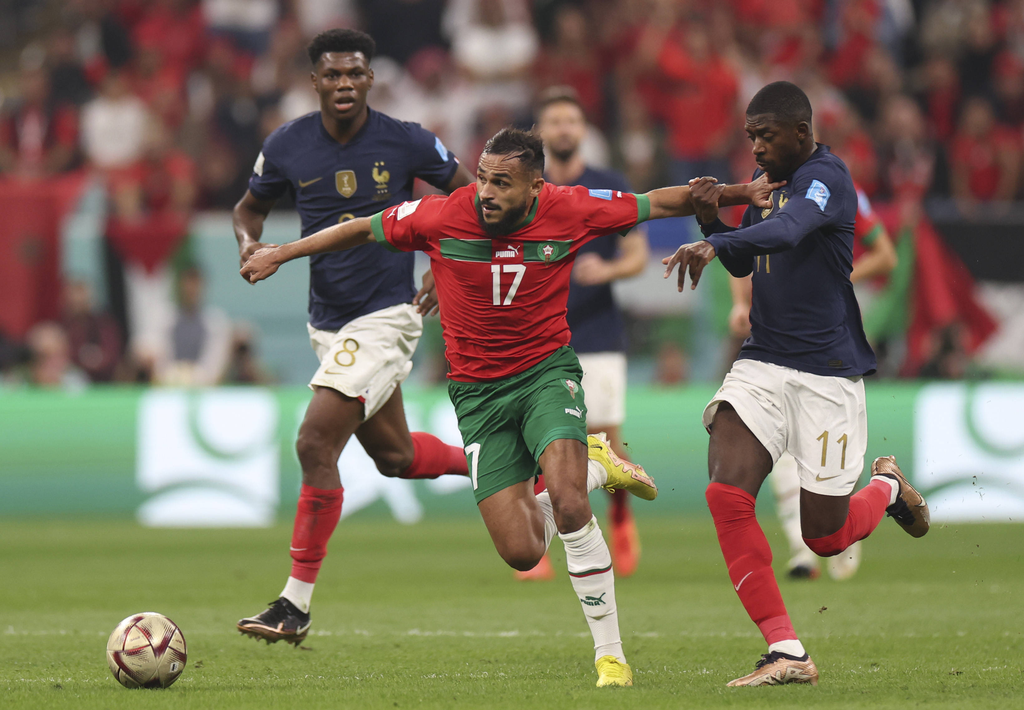 尤其是面对 尤其是面对