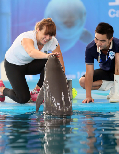 完整家庭 完整家庭