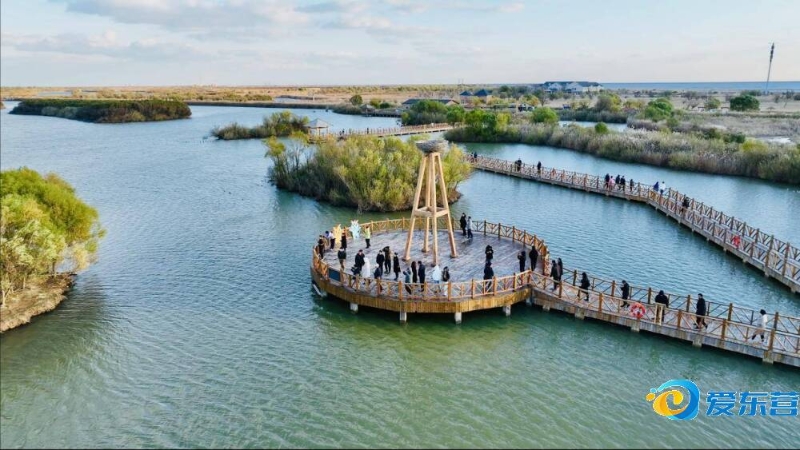 前场的接应 前场的接应